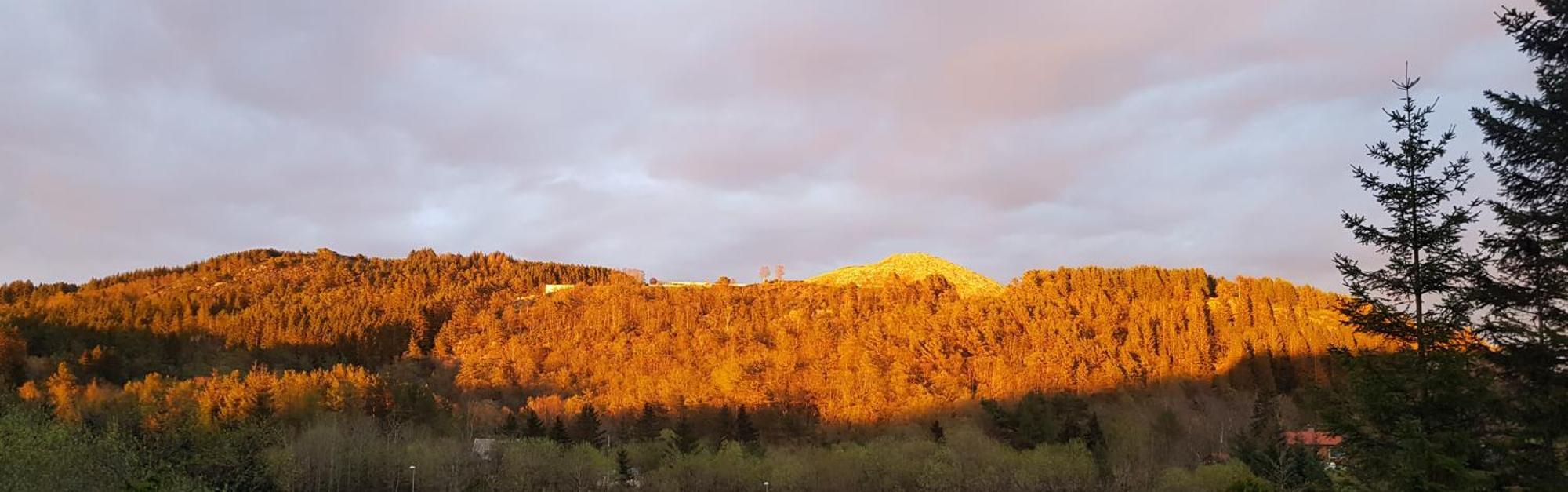 Fjordclaw Snm- Adjoining The Bergen City & Nature Ngoại thất bức ảnh